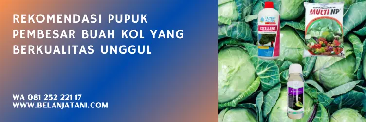 pupuk khusus pembesar buah, pupuk perangsang bunga dan buah terbaik, obat penyubur tanaman kubis, pupuk pembesar kol, BELANJA TANI