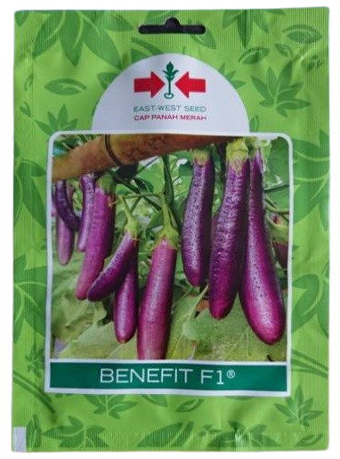 benih terong, benih terong benefit, tanaman terong benefit, budidaya terong benefit, tanam terong benefit, cara menanam terong benefit, jual benih terong benefit, terong benefit murah, terong benefit terbaru, belanja tani