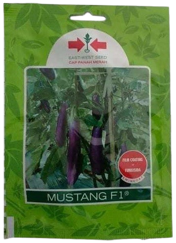 terong mustang, harga benih terong mustang f1, terong mustang f1, benih terong mustang, budidaya terong mustang f1, benih terong mustang, deskripsi terong mustang f1, budidaya terong mustang, cara menanam tetrong, tanaman terong, manfaat terong, panah merah, toko pertanian, belanja tani