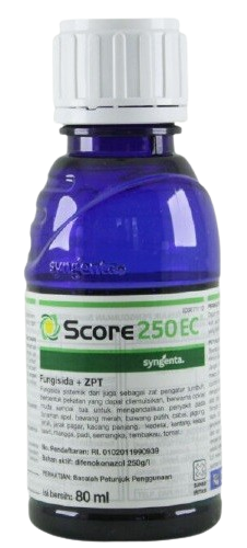 Fungisida Score, Fungisida Score 250 EC, Jual Fungisida Score, Fungisida Sistemik Fungisida Score, Manfaat Fungisida Score, Harga Fungisida Score, Syngenta, Syngenta Indonesia, Belanja Tani