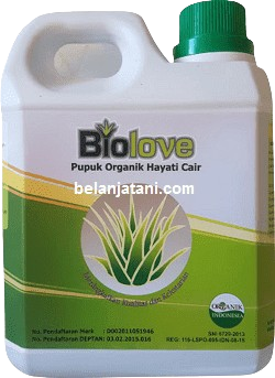 Pupuk Organik Biolove, Pupuk Organik Biolove 1 Liter, Pupuk Organik Cair Biolove, Biolove Pupuk Terbaik, Jual Biolove Murah, Pupuk Biolove Terbaru, Pupuk, Pupuk Organik, Pupuk Organik Cair, Cara Membuat Pupuk Organik, Bio Agro Lestari Indonesia, Belanja Tani