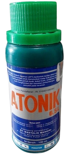 Atonik, Atonik 6.5 L, ZPT Atonik 6.5 L, ZPT Atonik, Hormon Atonik, Cara Penggunaan Atonik, Harga Atonik, Cara Pakai Atonik, Jual Atonik Murah, Zpt Atonik Murah, Dosis Pemakaian Atonik Terbaik, ZPT Adalah, Atonik Adalah, Mastalin Mandiri, Belanja Tani