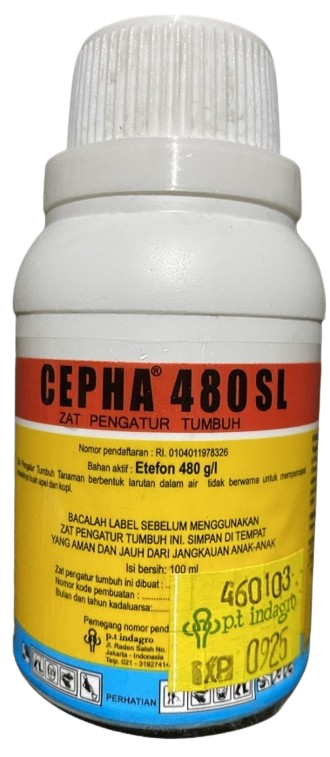 Chepa, Chepa 480SL, ZPT Chepa 480 SL, Chepa 480 SL, Chepa Indagro, ZPT Chepa, ZPT Chepa Indagro, Hormon Chepa, Cara Pemakaian Chepa 480 SL, Kegunaan Chepa 480 SL, Cara Menggunakan Chepa Untuk Pisang, Chepa Untuk Karet, Harga Chepa, Cara Pakai Chepa, Jual Chepa Murah, Zpt Chepa Murah, Dosis Pemakaian Chepa Terbaik, ZPT Adalah, Chepa Adalah, Indagro, PT Indagro, Indagro Jakarta, Belanja Tani