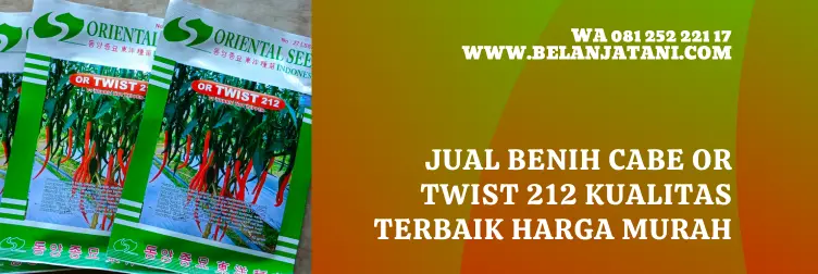 benih cabe keriting, benih cabe or twist, cabe 212, benih cabe keriting terbaik, BELANJA TANI