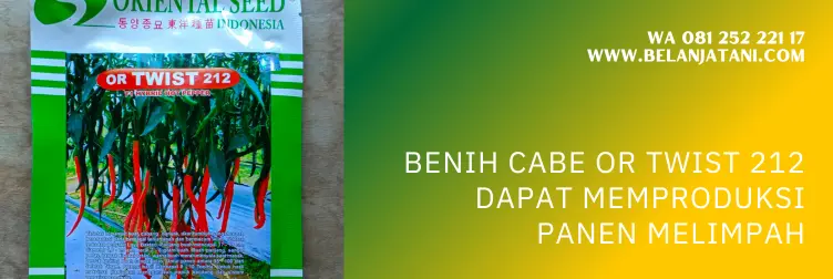 benih cabe keriting, benih cabe or twist, cabe 212, benih cabe keriting terbaik, BELANJA TANI