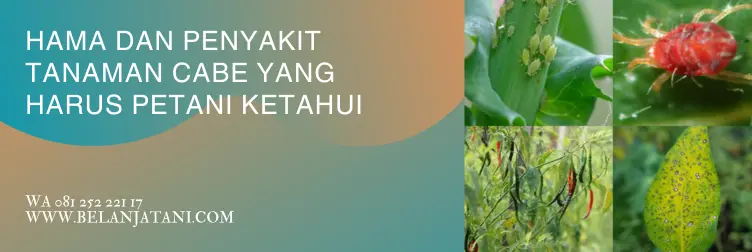 Jual Produk Bayer Untuk Tanaman Cabe Harga Terjangkau Kualitas Unggul | Belanja Tani pt bayer indonesia, produk bayer dan fungsinya, merk pestisida untuk cabe, produk bayer untuk pertanian, BELANJA TANI