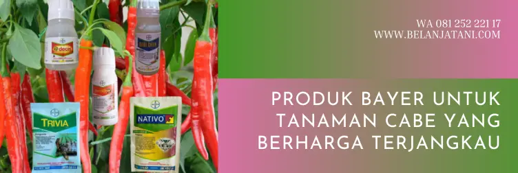 pt bayer indonesia, produk bayer dan fungsinya, merk pestisida untuk cabe, produk bayer untuk pertanian, BELANJA TANI