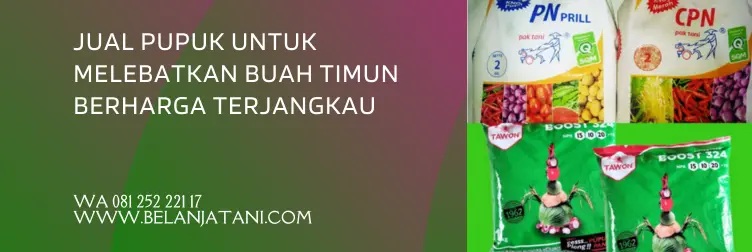 pupuk timun, pupuk buah, pupuk untuk tanaman timun, pupuk timun agar berbuah lebat, BELANJA TANI