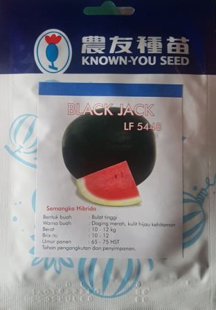 Semangka Black Jack. Jual Semangka Semangka Black Jack., Benih Semangka Semangka Black Jack, Cara Menanam Semangka Semangka Black Jack.,Known You Seed, Belanja Tani