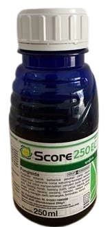 Fungisida Score, Fungisida Score 250 EC, Jual Fungisida Score, Fungisida Sistemik Fungisida Score, Manfaat Fungisida Score, Harga Fungisida Score, Syngenta, Syngenta Indonesia, Belanja Tani