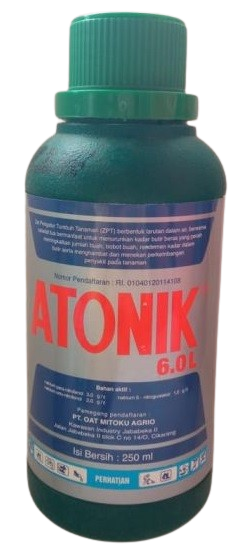 Atonik, Atonik 6.5 L, ZPT Atonik 6.5 L, ZPT Atonik, Hormon Atonik, Cara Penggunaan Atonik, Harga Atonik, Cara Pakai Atonik, Jual Atonik Murah, Zpt Atonik Murah, Dosis Pemakaian Atonik Terbaik, ZPT Adalah, Atonik Adalah, Mastalin Mandiri, Belanja Tani