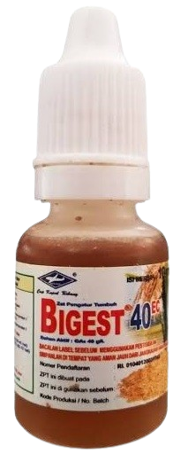 Bigest, ZPT Bigest, Bigest 40 Ec, Asam Giberelat, Giberelin, GA3, Hormon Bigest, Manfaat Bigest 40 EC, Cara Pemakaian Bigest 40 EC, ZPT Terbaik Untuk Padi, ZPT Adalah, MSI, PT MSI, Multi Sarana Indotani, Bisi International, Cap Kapal Terbang
