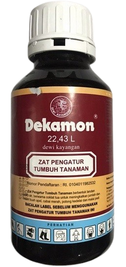 Dekamon, Dekamon 22.43 L, ZPT Dekamon 22.43 L, ZPT Dekamon, Hormon Dekamon, Cara Penggunaan Dekamon, Harga Dekamon, Cara Pakai Dekamon, Jual Dekamon Murah, Zpt Dekamon Murah, Dosis Pemakaian Dekamon Terbaik, ZPT Adalah, Dekamon Adalah, Dewi Kayangan, PT Kalatham, Belanja Tani