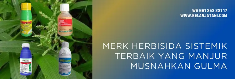Jual Merk Herbisida Sistemik Terbaik Idola Petani | Belanja Tani herbisida sistemik, herbisida terbaik, racun rumput sistemik terbaik, merk herbisida terbaik, BELANJA TANI