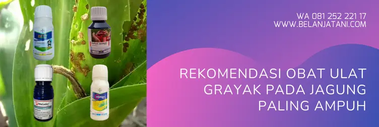 obat ulat jagung paling ampuh, harga obat ulat jagung paling ampuh, obat ulat grayak, obat ulat grayak paling ampuh, BELANJA TANI