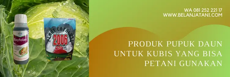 pupuk daun, pupuk untuk kubis, pupuk daun terbaik untuk kubis, pupuk daun untuk tanaman kubis, BELANJA TANI
