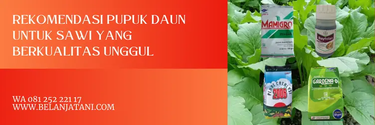 pupuk untuk sawi, pupuk npk untuk sawi, pupuk untuk sayuran daun, pupuk daun terbaik, BELANJA TANI