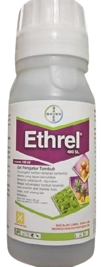 Ethrel, Ethrel 480 SL, ZPT Ethrel 480 SL, ZPT Ethrel, Hormon Ethrel, Ethrel Karet, Cara Penggunaan Ethrel 480SL, Ethrel Bayer, Bayer Ethrel, Harga Ethrel, Cara Pakai Ethrel Untuk Pisang, Ethrel Untuk Pisang, Ethrel Pisang, Jual Ethrel Bayer, Zpt Ethrel Bayer Murah, Dosis Pemakaian Ethrel, ZPT Adalah, Bayer, Bayer Indonesia, PT Bayer Indonesia