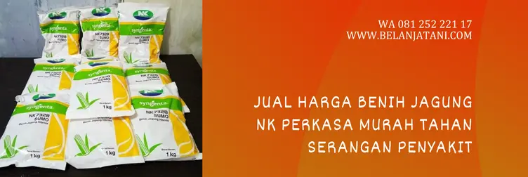 benih jagung perkasa, harga bibit jagung nk perkasa 1 kg, jagung nk perkasa, benih jagung nk perkasa, BELANJA TANI