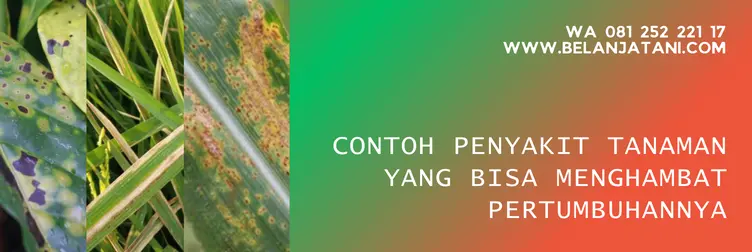 score 250 ml, harga score 250 ml, harga score, harga fungisida score, BELANJA TANI