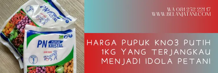 pupuk kno3 putih, harga kno3 putih, cara aplikasi pupuk kno3 putih, harga kno3, BELANJA TANI