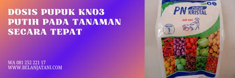 pupuk kno3 putih, harga kno3 putih, cara aplikasi pupuk kno3 putih, harga kno3, BELANJA TANI