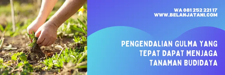 harga roundup, roundup 1 liter, harga roundup 1 liter, harga racun rumput roundup 1 liter, BELANJA TANI