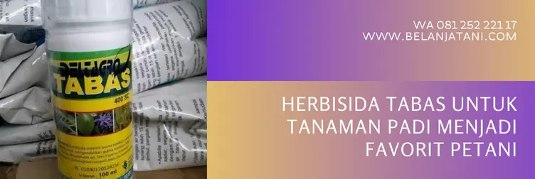 herbisida tabas, harga tabas 100 ml, harga herbisida tabas, keunggulan herbisida tabas, BELANJA TANI