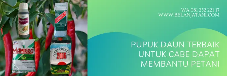 pupuk daun untuk cabe, pupuk daun cabe, jenis pupuk daun untuk cabe, pupuk cabe terbaik, BELANJA TANI