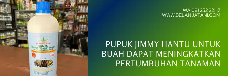 pupuk jimmy hantu, pupuk hantu untuk buah, dosis pupuk hantu, jimmy hantu pembuahan, BELANJA TANI
