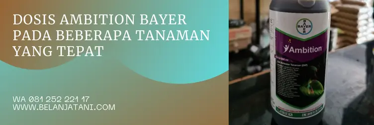 harga ambition bayer, cara pakai ambition bayer, pupuk ambition, kandungan ambition bayer, BELANJA TANI