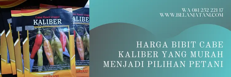 bibit cabe kaliber, harga benih cabe kaliber, bibit cabe rawit kaliber, cabe rawit kaliber, Belanja Tani