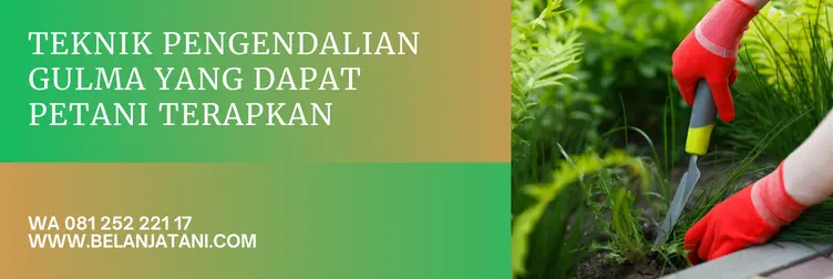 harga kayabas, kayabas, kayabas herbisida, dosis kayabas per tangki, Belanja Tani