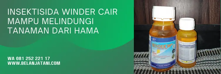 winder insektisida, insektisida winder, winder cair, winder 25 wp, Belanja Tani