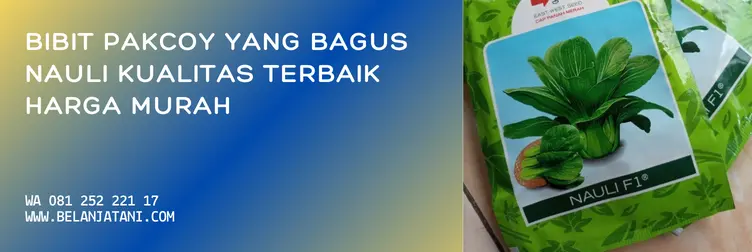 bibit pakcoy, benih sawi pakcoy, harga bibit pakcoy, benih pakcoy, Belanja Tani