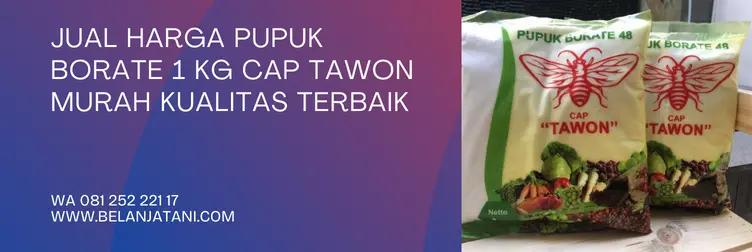 harga pupuk borate, pupuk borate, harga pupuk borat, pupuk borate cap tawon, Belanja Tani