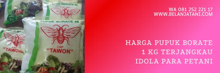 harga pupuk borate, pupuk borate, harga pupuk borat, pupuk borate cap tawon, Belanja Tani