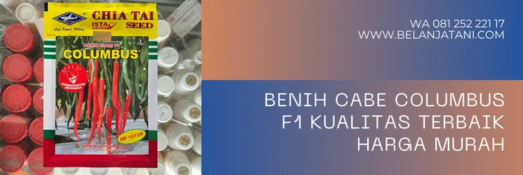 harga bibit cabe columbus, bibit cabe columbus, harga benih cabe columbus, benih cabe columbus, Belanja Tani