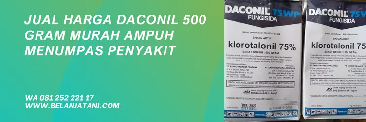 daconil fungisida, harga daconil, harga fungisida daconil, harga daconil 75 wp, Belanja Tani