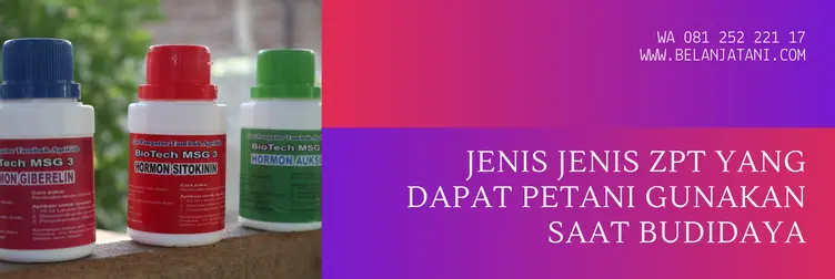 harga ethrel, ethrel, ethrel pematang buah, ethrel buah, Belanja Tani