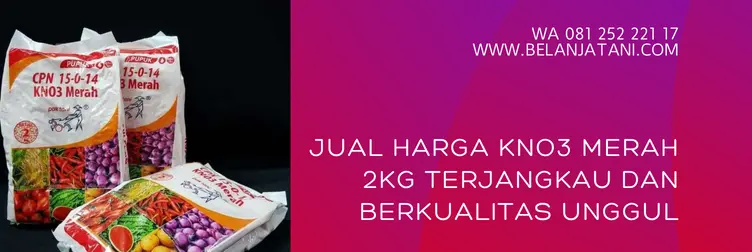 harga kno3 merah, harga pupuk kno3 merah, kno3 merah, kandungan pupuk kno3 merah, Belanja Tani