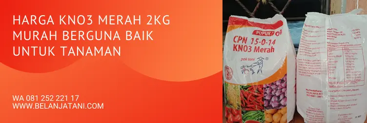 harga kno3 merah, harga pupuk kno3 merah, kno3 merah, kandungan pupuk kno3 merah, Belanja Tani