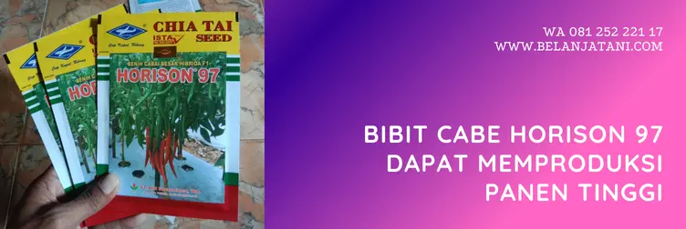 cabe horison 97, horison 97, benih cabe horison 97, harga benih cabe horison 97, Belanja Tani