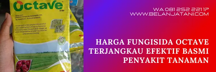 octave fungisida, harga octave, manfaat fungisida octave, bahan aktif fungisida octave, Belanja Tani
