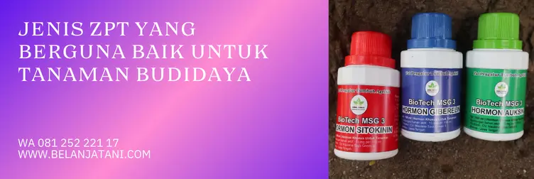 bigest 40 ec, biggest zpt, harga zpt bigest, harga bigest, Belanja Tani