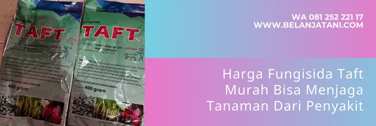 fungisida taft, taft fungisida, fungisida berbahan aktif mankozeb, fungisida mankozeb terbaik, Belanja Tani