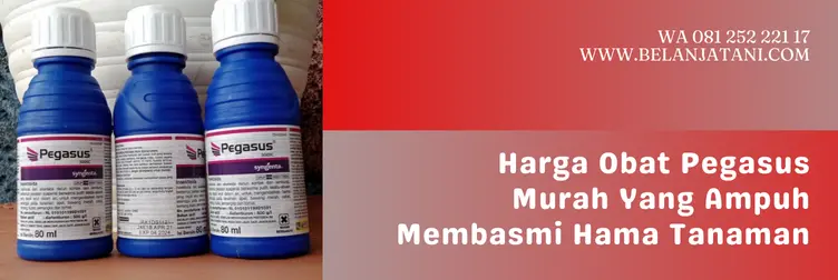 obat pegasus, harga pegasus, harga insektisida pegasus, pegasus insektsida, Belanja Tani