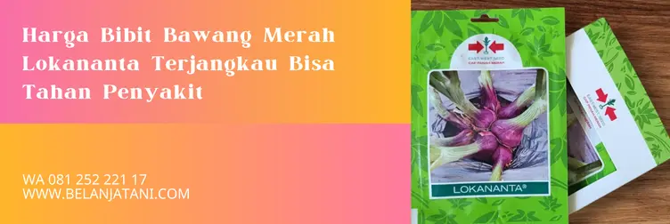 bawang merah lokananta, benih bawang merah lokananta, harga benih bawang merah lokananta, keunggulan bawang merah lokananta, Belanja Tani