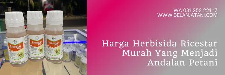 ricestar herbisida, ricestar, harga ricestar, keunggulan herbisida ricestar, Belanja Tani