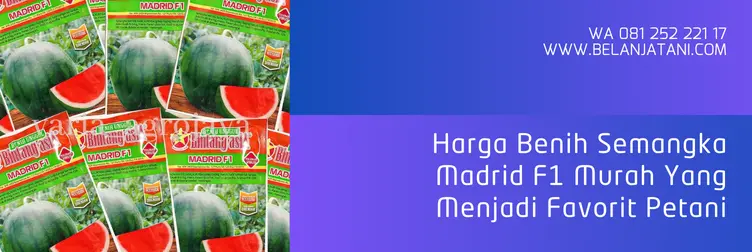 bibit semangka madrid f1, benih semangka madrid, benih semangka madrid f1, semangka madrid, Belanja Tani